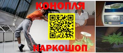 индика Новокубанск