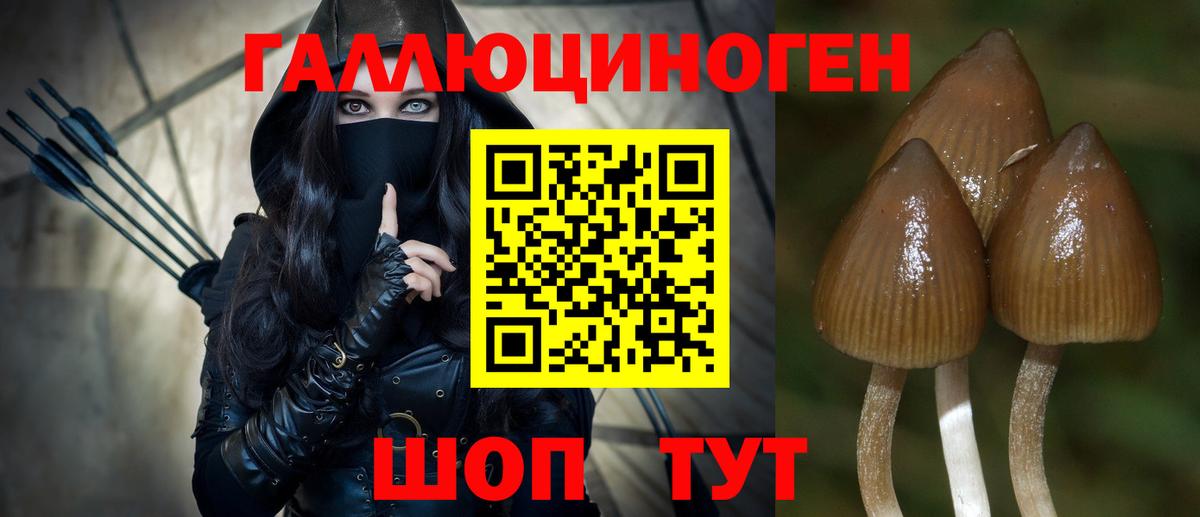 Славянск-на-Кубани  Галлюциногенные грибы GOLDEN TEACHER  магазин  наркотиков  Вход с VPN 